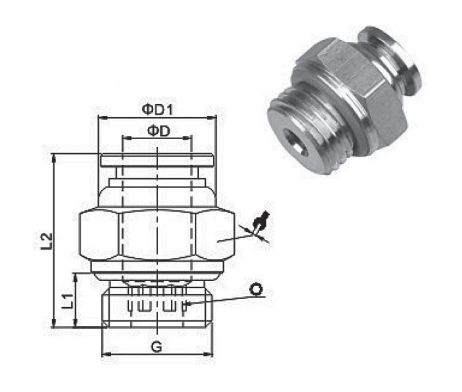 Stainless Steel Quick Push-In Fittings QX CG